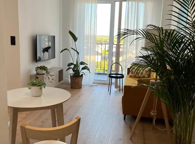 4 Pietro * زاتور